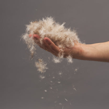 KAROLINA™ Down Pillow 50×70 Premium — 100% Natural Goose Down