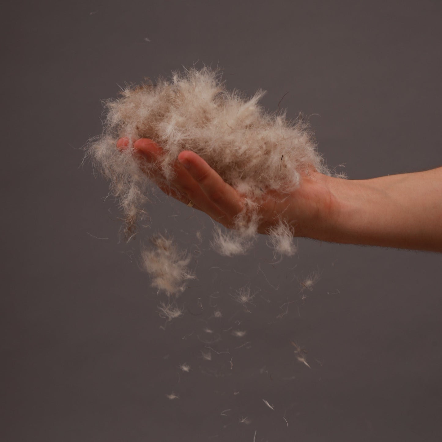 KAROLINA™ Down Pillow 40×40 Premium — 100% Natural Goose Down